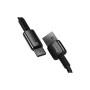 Дата кабель USB 2.0 AM to USB-C 1.0m 100W black Baseus (CAWJ000001)