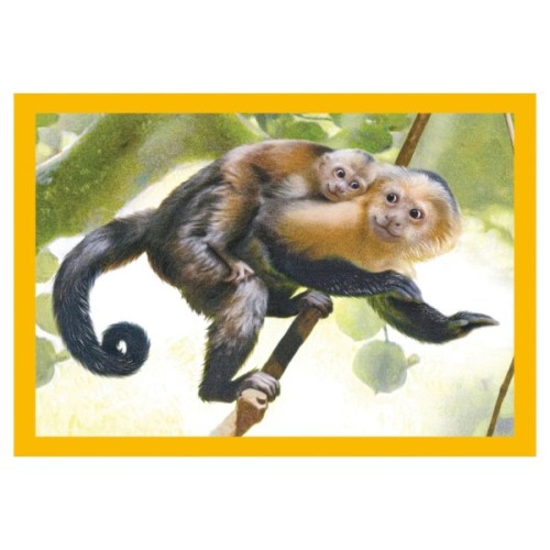 Пазл Clementoni 4 в 1 Baby Cuddles, 12,16,20 та 24 елементи (21532)