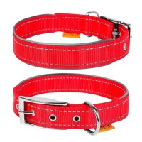 Нашийник для тварин Collar Dog Extremе 25 мм 38-48 см (червоний) (67043)