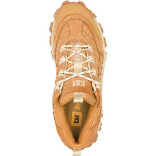 Кросівки Caterpillar (CAT) Intruder P726246 коричневі 40 (195021014386)