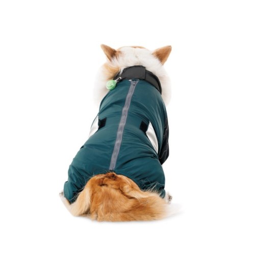 Комбінезон для тварин Pet Fashion Den М (такса) (4823082439645)