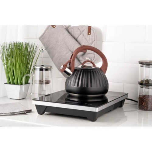 Чайник Ardesto Gemini 2.5 л Чорний (AR1958KS)