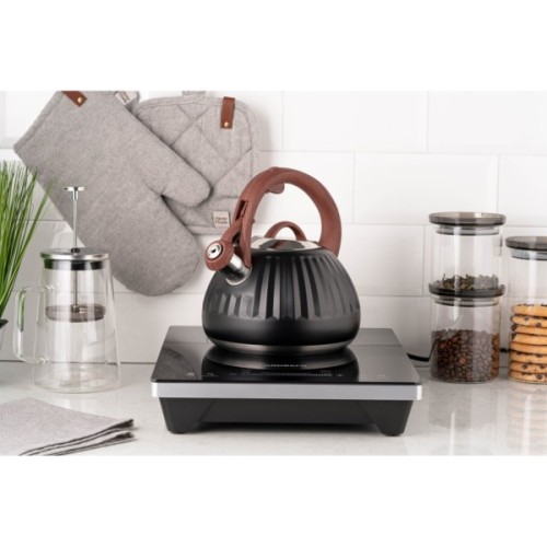 Чайник Ardesto Gemini 2.5 л Чорний (AR1958KS)