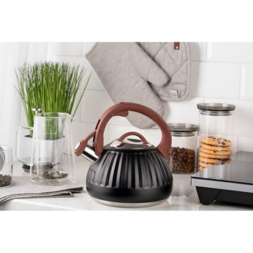 Чайник Ardesto Gemini 2.5 л Чорний (AR1958KS)