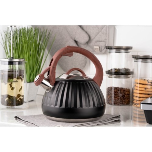 Чайник Ardesto Gemini 2.5 л Чорний (AR1958KS)