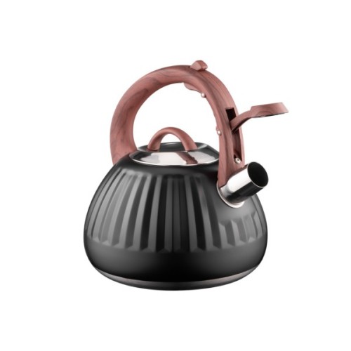 Чайник Ardesto Gemini 2.5 л Чорний (AR1958KS)