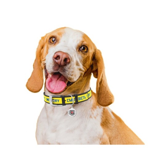 Нашийник для тварин WAUDOG Design з QR паспортом "Сміливість" Ш 25 мм Д 38-49 см чорний (3605-0231-01)