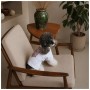 Футболка для тварин Pet Fashion Ukraine S (4823082446230)