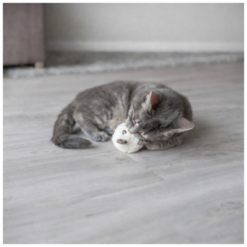 Іграшка для котів Trixie Ведмідь плюшевий з котячою м'ятою 8 см (кольори в асортименті) (4011905710396)