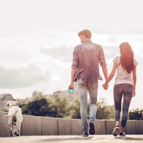 Повідець для собак WAUDOG R-leash світловідбиваюча стрічка XS-M до 40 кг 2.9 м блакитни (81272)