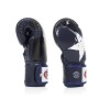 Боксерські рукавички Fairtex BGV1 Nation Print Blue 14 унцій (бинти в комплекті) (BGV1_Print_14oz_Blue)