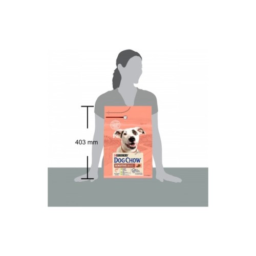 Сухий корм для собак Purina Dog Chow для дорослих, схильних до алергії собак з лососем 2.5 кг (7613034488268)