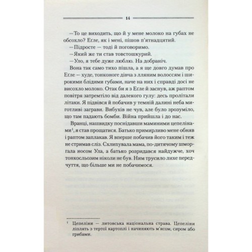 Книга Заячий костел - Василь Шкляр КСД (9786171511378)