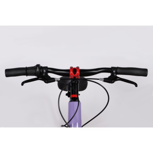 Велосипед Space 20" KID ALIOTH DD FR рама-11" MG 2025 фіолетовий (OPS-SK-20-017)