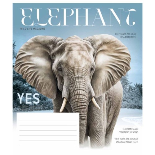 Зошит Школярик Fauna magazine 12 аркушів клітинка (012-3428K)