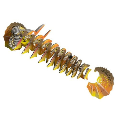 Пазл Eugy 3D Зоопарк Плащоносна ящірка (XEG-108)