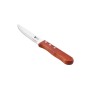 Набір ножів Bergner Bbq lovers для стейків, 4 предмети (BG-40201-MM)