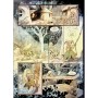 Комікс Бринділла. Мисливці за тінями. Том 1 - Фредерік Бремо Ранок (9786170996848)