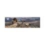 Бінокль Vortex Copperhead HD 10x42 (CPH-1042) (932422)