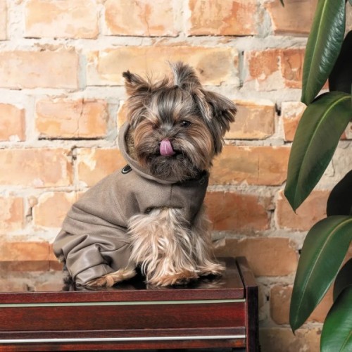Костюм для тварин Pet Fashion Pf Style S (4823082427956)