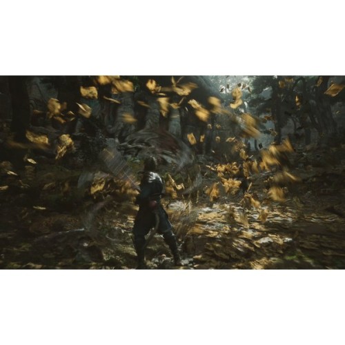 Гра Sony Black Myth: Wukong, BD диск (5056635611864)