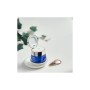 Крем для шкіри навколо очей Dr. Plant Dendrobium Relieve Wrinkle Massage Eye Cream 20 г (4582538102075)