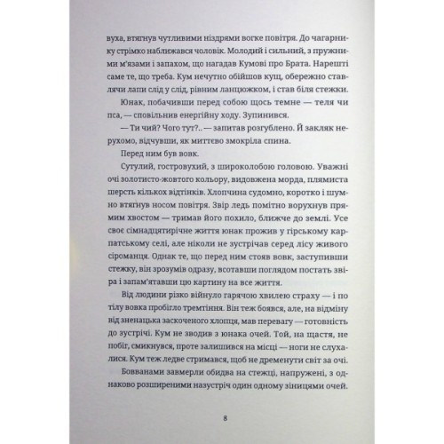 Книга Тамдевін. Бора - Галина Вдовиченко Видавництво Старого Лева (9789664483114)
