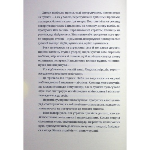 Книга Тамдевін. Бора - Галина Вдовиченко Видавництво Старого Лева (9789664483114)