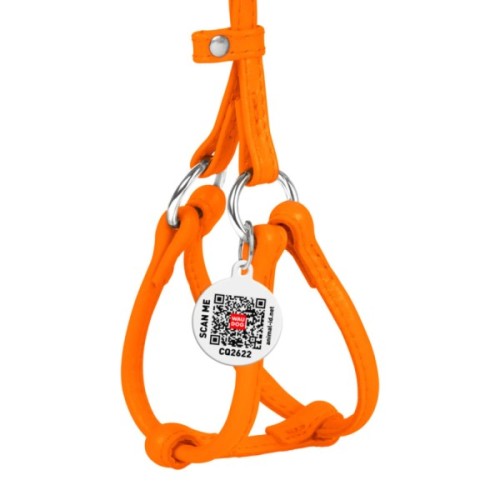 Шлея для собак WAUDOG Glamour з повідцем кругла Д 6 мм А 26-46 см В 30-50 см помаранчева (34014)