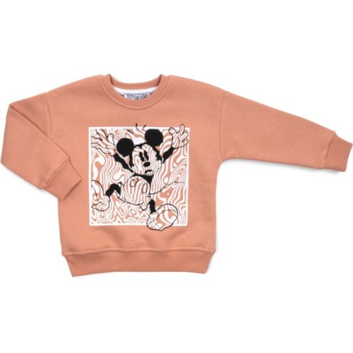 Спортивний костюм дитячий Smile флісовий (23197-92G-brown)