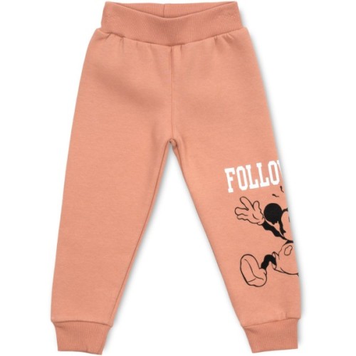 Спортивний костюм дитячий Smile флісовий (23197-92G-brown)