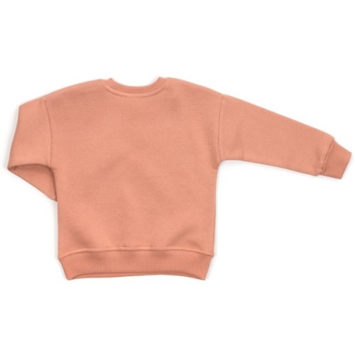 Спортивний костюм дитячий Smile флісовий (23197-92G-brown)