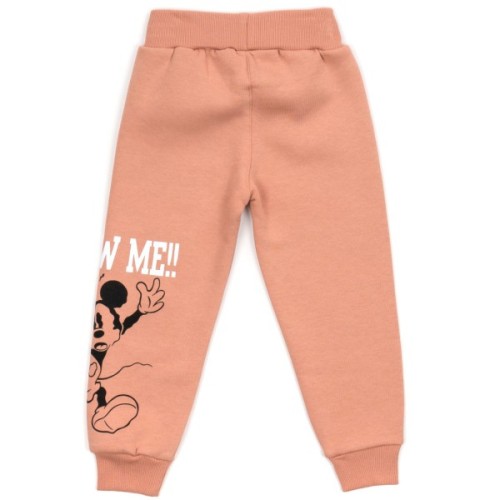 Спортивний костюм дитячий Smile флісовий (23197-92G-brown)