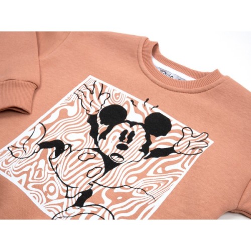 Спортивний костюм дитячий Smile флісовий (23197-92G-brown)