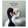 Зошит Школярик Romance stories 48 аркушів лінія (048-3571L)