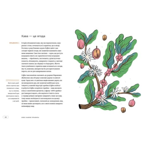 Книга Нові кавові правила - Захарі Карлсен, Джордан Майклмен Видавництво Старого Лева (9786176798910)