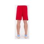 Шорти Joma Nobel 100053.600 червоний S (9995043444069)