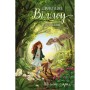 Книга Дівчинка на ім'я Віллоу. Книга 3: Шелест крил - Забіне Больман BookChef (9786175485460)