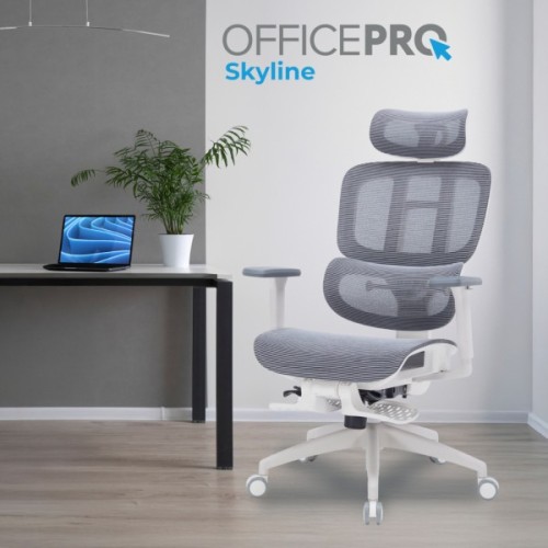 Офісне крісло OfficePro Skyline OC750-W-DG-DG (OC750-W-DG-DG)