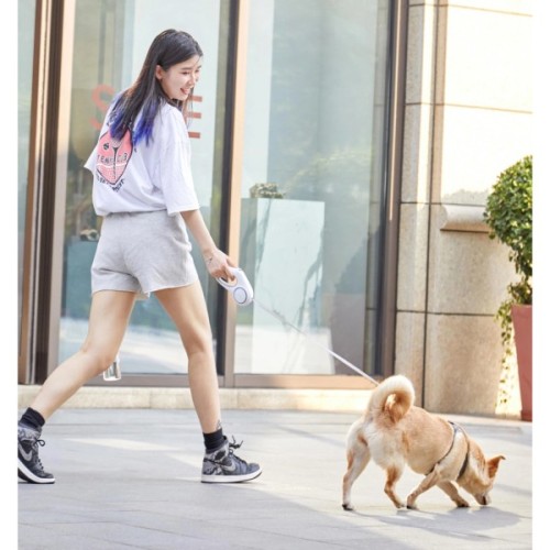 Повідець для собак Petkit Travel GO SHINE Pet Leash 3 m (P2101)