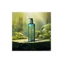 Шампунь SH-RD Tea Tree Scalp Shampoo Проти лупи на основі масла чайного дерева 500 мл (652418100737)