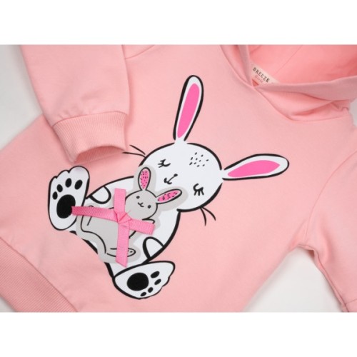 Кофта дитяча Breeze з зайчіком (16185-86G-pink)