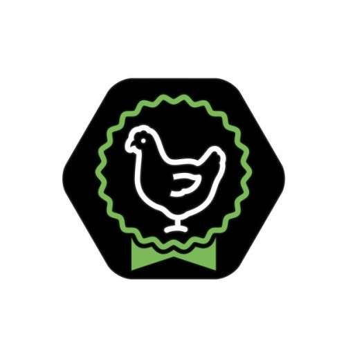 Сухий корм для собак Purina Pro Plan Small&Mini Puppy з куркою та рисом 7 кг (7613035123366)