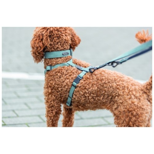 Шлея для собак Trixie CityStyle H-harness Бавовна M–L 52–75 см 20 мм Світло-зелена (4053032682641)