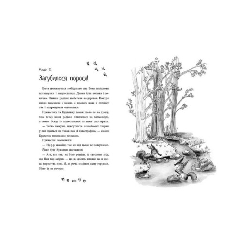 Книга Ліс незвичайних тварин - Еллі Беннет Ранок (9786170987013)