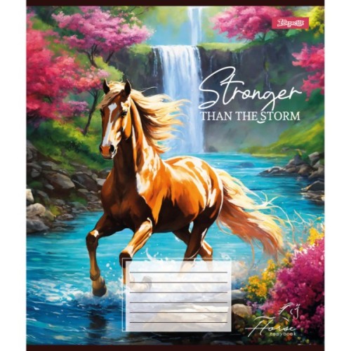 Зошит 1 вересня Stronger than the storm А5 12 аркушів лінія (767223)