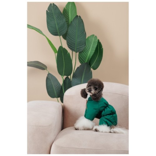 Комбінезон для тварин Pet Fashion EGO S2 зелений (4823082437702)