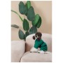 Комбінезон для тварин Pet Fashion EGO S2 зелений (4823082437702)