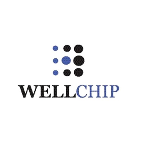 Чип для картриджа HP LJ Enterprise M507/528/CF289Y, 20K Wellchip (CHPCF289Y)