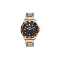 Наручний годинник Ferro F11253A-E3